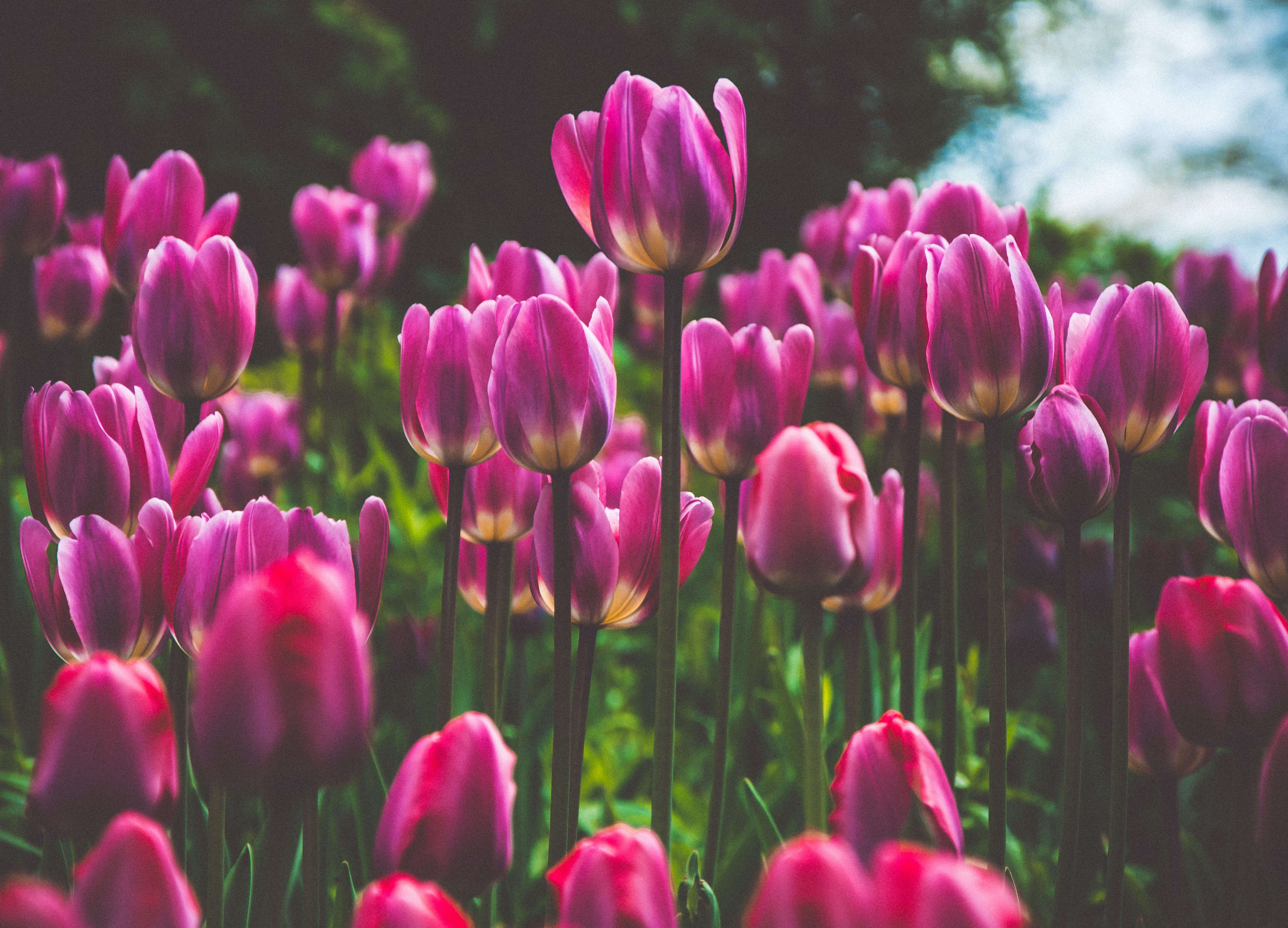 テレビのイロハ